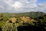 Uno scorcio dell'azienda agricola biologica sullo sfondo di Micciano