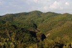 Une vue de la réserve naturelle de Monterufoli